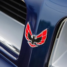 1975-pontiac-trans-am-firebird-emblem